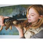  Chloe Grace mo let's Chloe Grace Moretz импорт фотография западное кино,50101