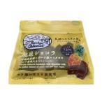 琉球ショコラ パイン果肉 40g 南西産業 6個までメール便可