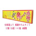 500円ポッキリ 化粧箱入り 感謝のちんすこう 12個（6袋）×1箱 6種類（プレーン、黒糖、塩、ココナッツ、バナナ、シークヮサー）小黒糖付き