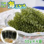 沖縄県産 海ぶどう 50g×4袋 化粧箱なし 届いてすぐ食べられるタレ付き