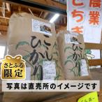 コシヒカリ米10kg そすいのミネラル米