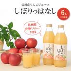 ふるさと納税 長野県 信州産りんごジュース果汁100%「しぼりっぱなし」1,000ml×6本