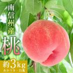 ふるさと納税 飯田市 南信州産「桃」約3kg〈あかつき・白鳳〉　【2024年7月より順次発送】