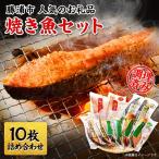 ふるさと納税 勝浦市 焼き魚セット