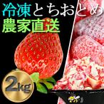 ふるさと納税 横芝光町 農家直送!削りイチゴパフェも楽しめるBELL FARMの美味しい冷凍いちご2kg【苺1kg×2箱】