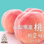 ふるさと納税 山梨市 【日本一のもも生産量】山梨直送!旬の完熟桃 約2kg(5〜7玉) ギフト箱入り