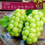 ふるさと納税 山梨市 【2024年先行受付】山梨産シャインマスカット2房(約1kg) ふるさと納税