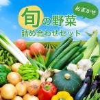 ショッピングふるさと納税 米 ふるさと納税 棚倉町 旬の野菜詰め合わせセット(石安米肥店)