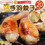 ショッピング餃子 ふるさと納税 香取市 2年連続グルメ大賞受賞!手羽先餃子20本セット/水郷のとりやさん