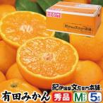 ふるさと納税 湯浅町 ブランド有田みかん【M】秀品5kg/薄皮で甘い美味しいみかん/産地直送/紀伊国屋文左衛門本舗