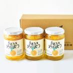 ふるさと納税 有田市 有田伊藤農園　手むきあまなつのコンポート3個