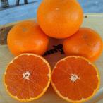 アイテムID:34892の画像1枚目