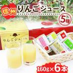 ふるさと納税 長野県 信州りんごジュース5種セレクト 160g×6本×5種類