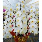 դ뤵Ǽ Į ĳ()57Ω9ȭ