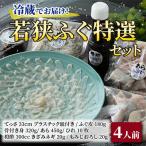 ふるさと納税 小浜市 【先行受付】若狭ふぐ特選セット(4人前)・冷蔵