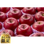 ショッピングさとふる ふるさと納税 南部町 青森りんご　サンふじ　大玉　10kg【さとふる限定】