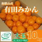 ふるさと納税 湯浅町 2025年11月中旬より順次発送【まごころ手選別】和歌山の有田みかん　10kg大玉(2L〜4L混合)