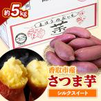 ふるさと納税 香取市 【先行受付】さつま芋(シルクスイート約5kg)