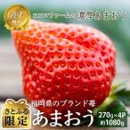 濃厚あまおうDX規格4パック