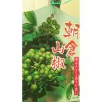 朝倉山椒 樹高約60cm~80cm 取扱説明書付き
