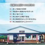 ふるさと納税 西原村 熊本馬刺し 上赤身の詰め合わせ約500g