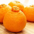 ふるさと納税 湯浅町 和歌山有田の濃厚デコポン　15〜24玉(約5kg)