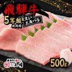 ふるさと納税 養老町 飛騨牛5等級　ミスジ・三角バラ　焼肉用　500g