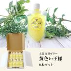 ふるさと納税 土佐市 一度食べたらクセになる、二度食べたらやみつきになる 手作り文旦ゼリー140g×8本