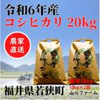 若狭町 ふるさと納税 福井県若狭町コシヒカリ(1等米) 20