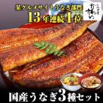 ショッピングうなぎ 蒲焼き 国内産 送料無料 ふるさと納税 有田市 国産うなぎ蒲焼き・3種(計300g)セット