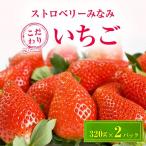 ふるさと納税 榛東村 ストロベリーみなみ こだわり 『いちご』 320g×2パック