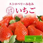 ふるさと納税 榛東村 ストロベリーみなみ こだわり　『いちご』　320g×2パック