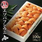 ふるさと納税 登別市 折詰蝦夷ばふんうに 100g×1枚