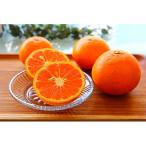 ふるさと納税 湯浅町 【2026年4月より発送】主井農園のカラマンダリンご家庭用5kg