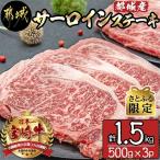 ふるさと納税 都城市 【さとふる限定】都城産 宮崎牛サーロインステーキ合計1.5kg