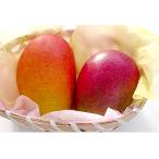 ふるさと納税 南国市 高知県南国市産/完熟アップルマンゴー(2〜3個)