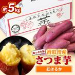 アイテムID:37889の画像1枚目