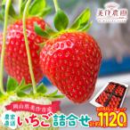 ふるさと納税 美作市 岡山県美作市産　いちご詰合せ(約280g×4パック)