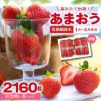 ふるさと納税 上毛町 【完熟朝採れ】福岡県産ブランドいちご　あまおう(小粒、約270g×8パック)