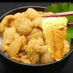 ふるさと納税 登別市 【2026年夏発送】無添加 塩水きたむらさきうに 100g×1p