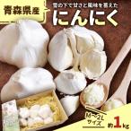 ふるさと納税 青森市 青森県産にんにく　M～2L約1kg_A1-65