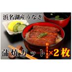 ふるさと納税 浜松市 浜名湖うなぎカット蒲焼2枚組(約110g×2枚)