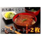 ショッピングふるさと納税 うなぎ ふるさと納税 浜松市 浜名湖うなぎカット蒲焼2枚組(約110g×2枚)