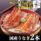 ふるさと納税 うなぎ 有田市 大サイズ　国産うなぎ蒲焼　2本(300g〜338g)