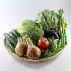 ふるさと納税 須賀川市 季節の野菜セット(4〜6種)