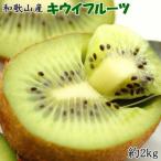 ふるさと納税 紀の川市 和歌山県産キウイフルーツ約2kg(サイズ混合)・秀品