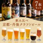 ふるさと納税 京丹後市 【飲み比べ】京都・丹後クラフトビールセット　7本　TANGO KINGDOM Beer