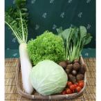 ふるさと納税 芝山町 野菜セット 「大地の恵みセット」6〜7種 +古代米バウムクーヘン