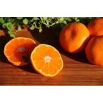 ふるさと納税 湯浅町 松兵衛みかん　2L3L混合　5kg