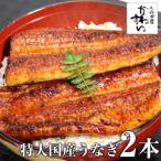 ふるさと納税 有田市 1尾200gの大サイズ国産うなぎ蒲焼2本セット(計400〜458g)